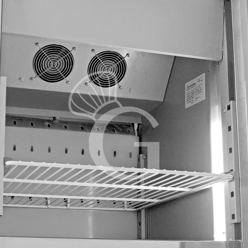 Armadio Refrigerato Ventilato doppia temperatura 2 porte +2°/+8°C e -18°/-22°C capacità 237+237 LT - dettaglio luci