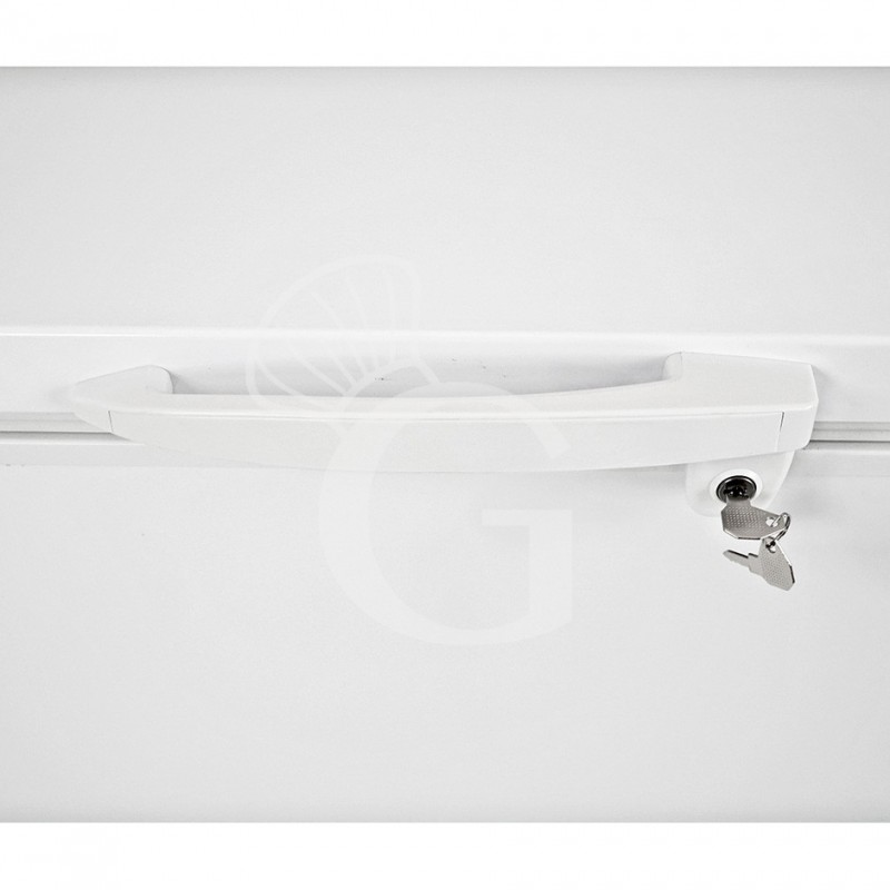 Congelatore a pozzetto Statico 568 LT -18°C classe energetica F