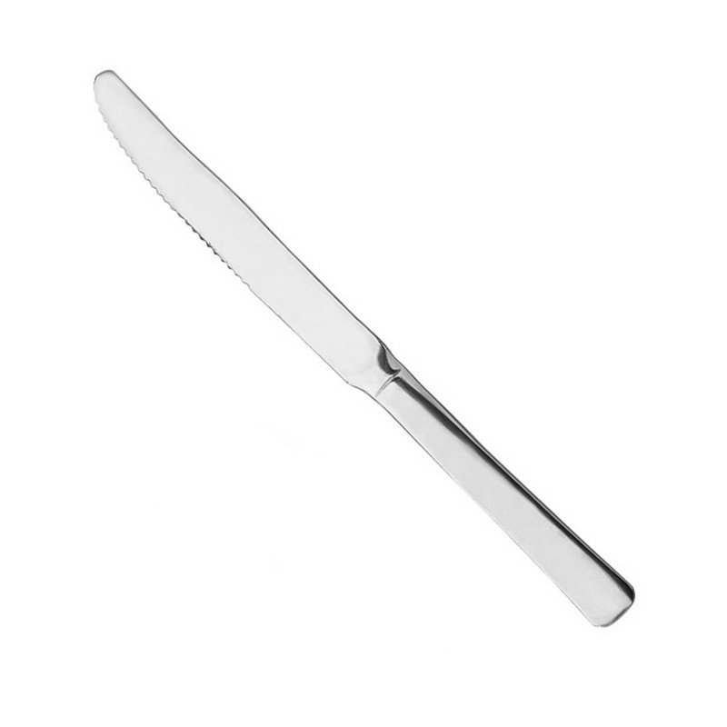 Coltello da tavola monoblocco in acciaio inox L 220 mm