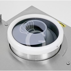 Coclea in teflon per...