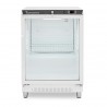 Armadio Refrigerato Statico porta vetro -2°C/+8°C 103 LT Classe energetica D