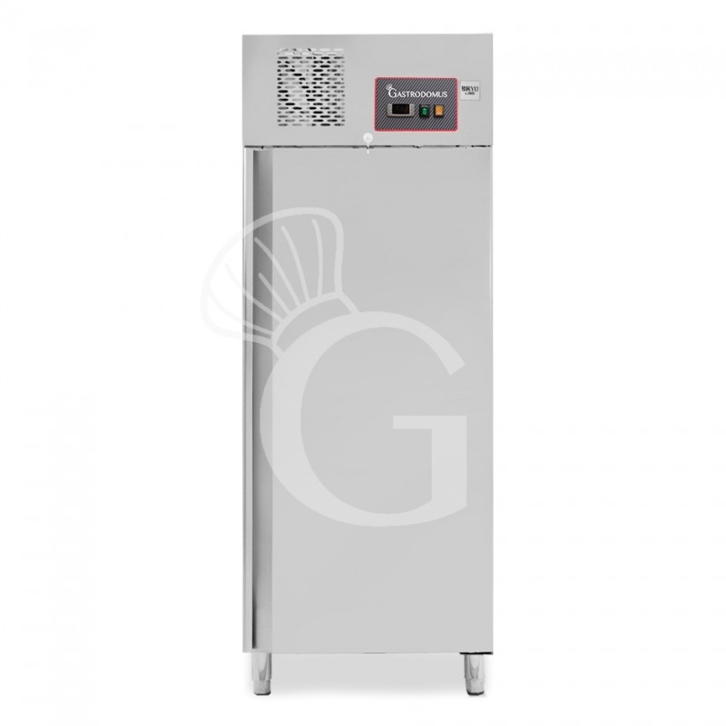 Armadio Congelatore Ventilato -18°C/-22°C 534 LT classe energetica E