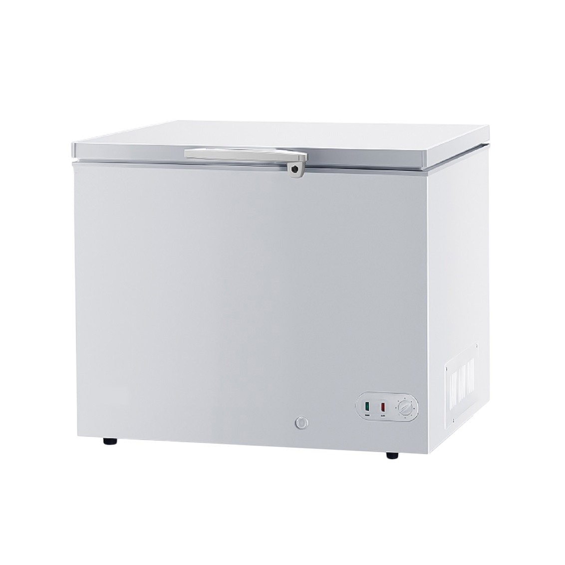 Congelatore a pozzetto 269 LT temperatura -18°C classe F