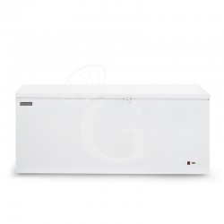 Congelatore a pozzetto Statico 465 LT -18°C classe energetica F