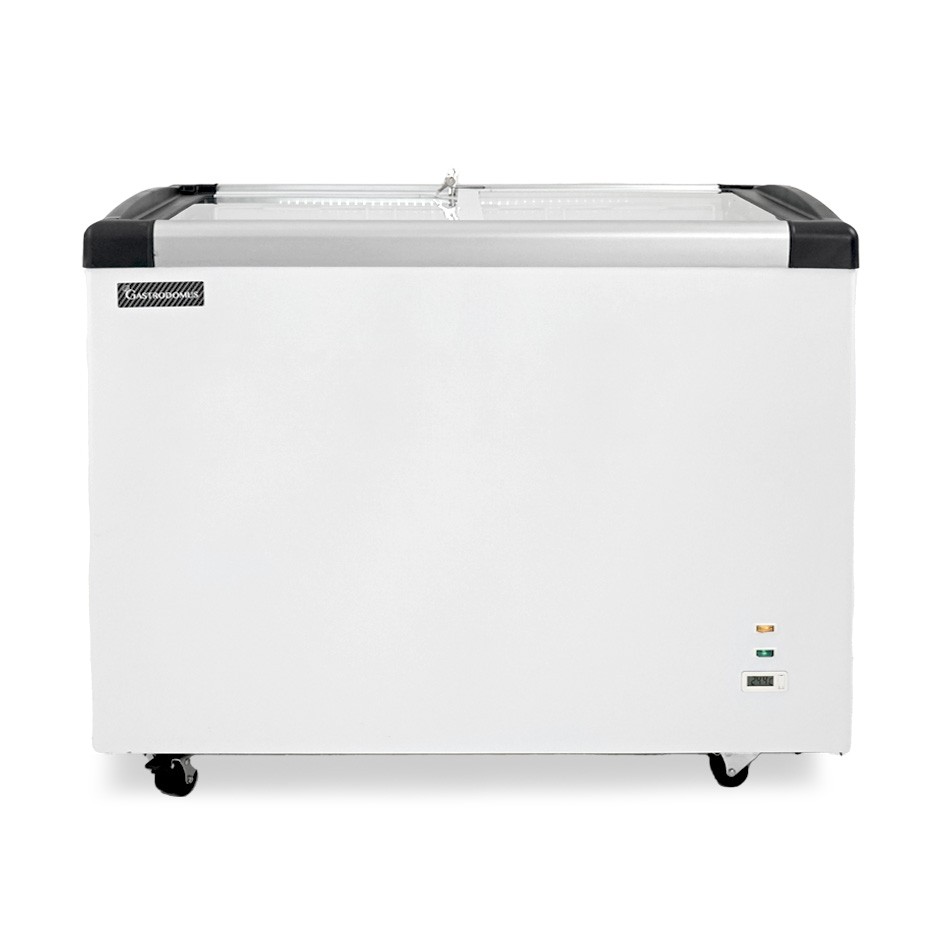 Congelatore a pozzetto Statico 273 LT - temperatura -18°/-25°C - porta vetro classe energetica C