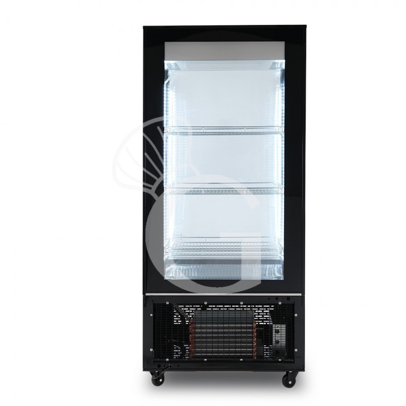 Espositore Refrigerato Ventilato color nero 550 LT -13°C/-22°C classe energetica B