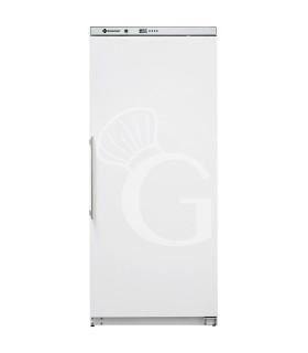 Armadio Refrigerato Ventilato -18°C/-22°C 279 LT Classe energetica D