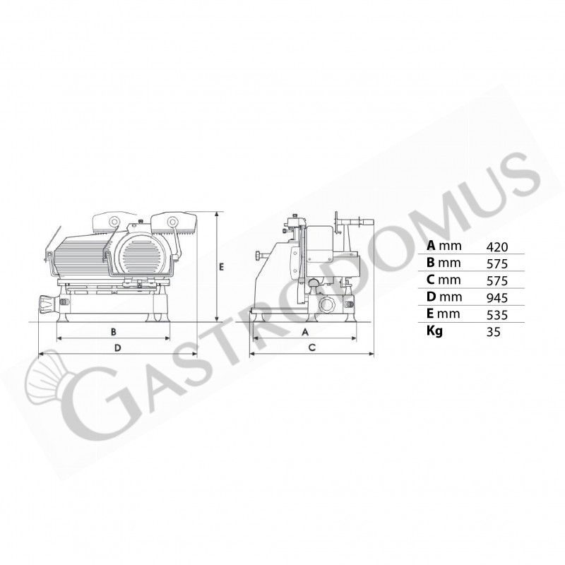 Affettatrice professionale verticale per taglio carne in alluminio, lama diametro 300 mm, carrello smontabile