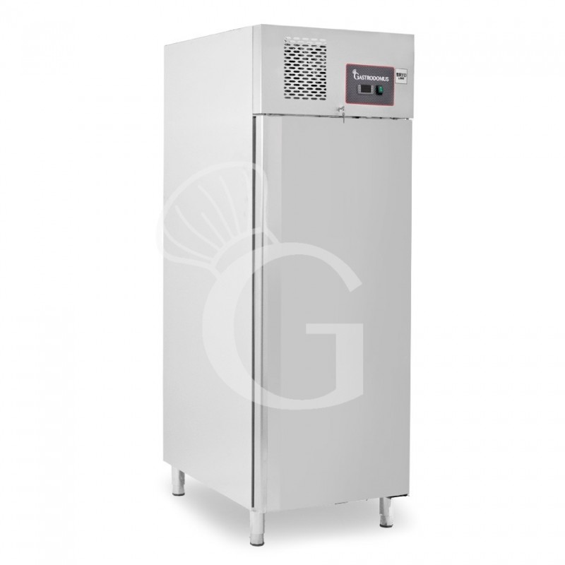 Armadio Refrigerato Ventilato -2°C/+8°C 650 LT full optional classe energetica D