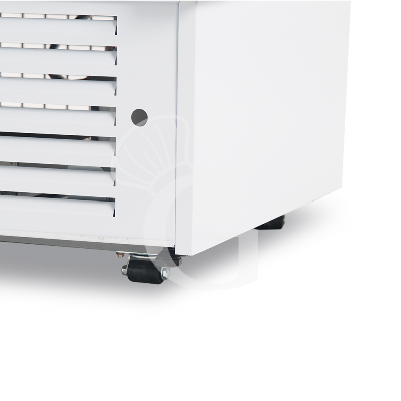 Banco refrigerato ventilato vetro dritto, 0°/+5°C, L 2585 mm, completo di luce, vetro intermedio e plexiglass posteriori