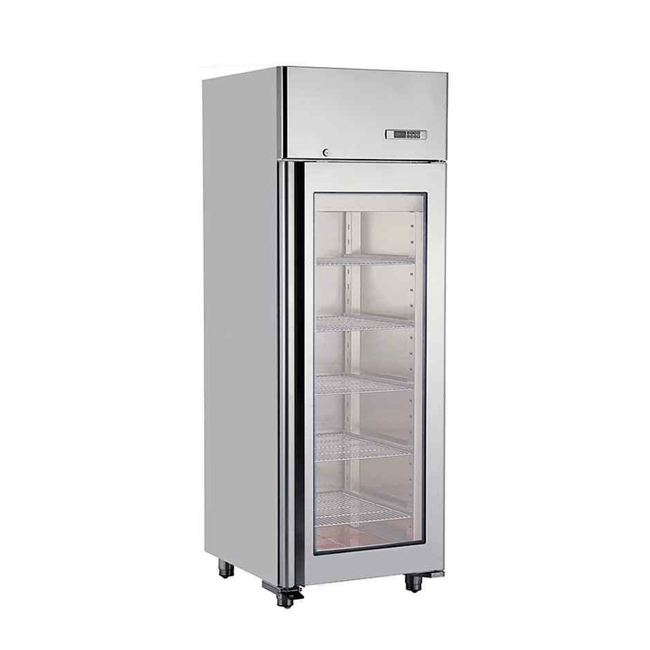Armadio Refrigerato Professionale per Frollatura Carne 0°C / +25°C con Porta in Vetro - 580 Lt, Lampada UV e Controllo Umidità