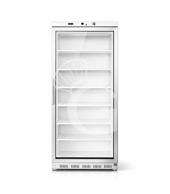 Armadio Refrigerato Statico porta in vetro -18°C/-22°C 555 LT