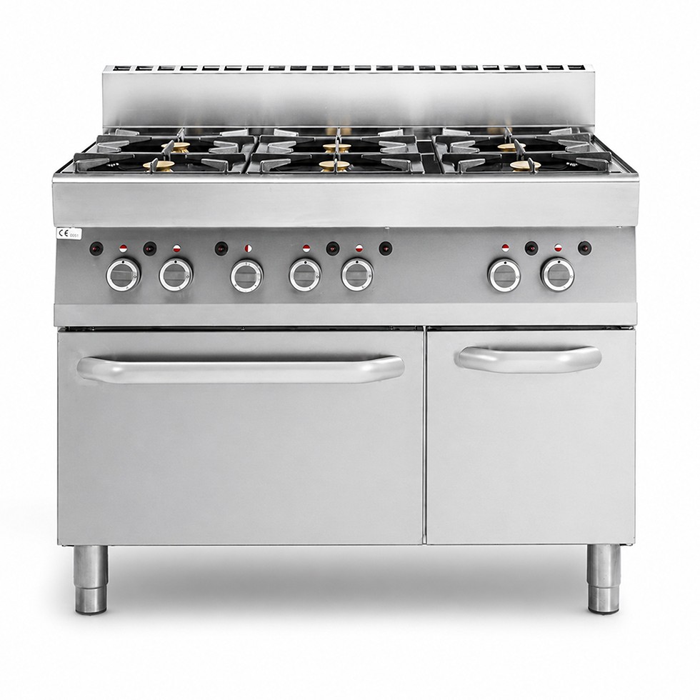Cucina professionale a gas 6 fuochi forno a gas armadio neutro profondità 650 mm