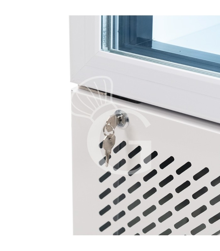 Armadio congelatore statico slim con porta vetro 208 LT, -18°C/-22°C, colore bianco