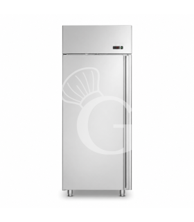 Armadio Congelatore Ventilato -18°C/-22°C 600 LT classe energetica C