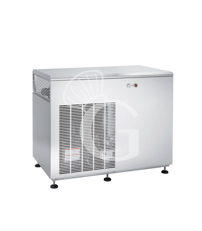 Macchina del ghiaccio a scaglie piatte trifase kg 600/24h raffreddamento ad aria