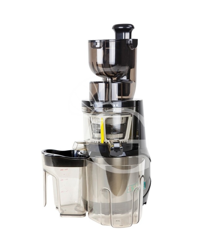 Estrattore di succo a bassa velocita compatto 0,25 Kw, 45 rpm