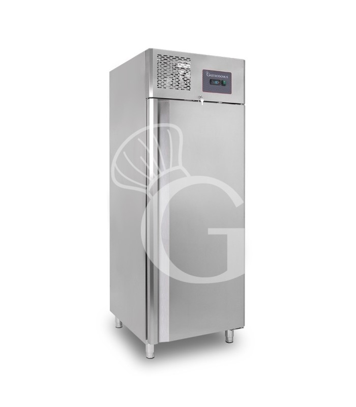 Armadio congelatore Ventilato -18°C/-22°C - 650 LT