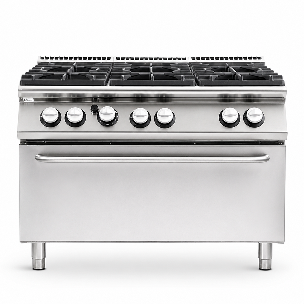 Cucina professionale a gas 6 fuochi forno a gas maxi profondità 900 mm