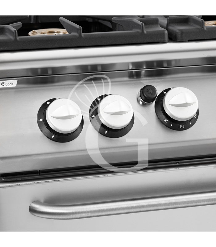 Cucina professionale a gas 6 fuochi forno a gas maxi profondità 900 mm