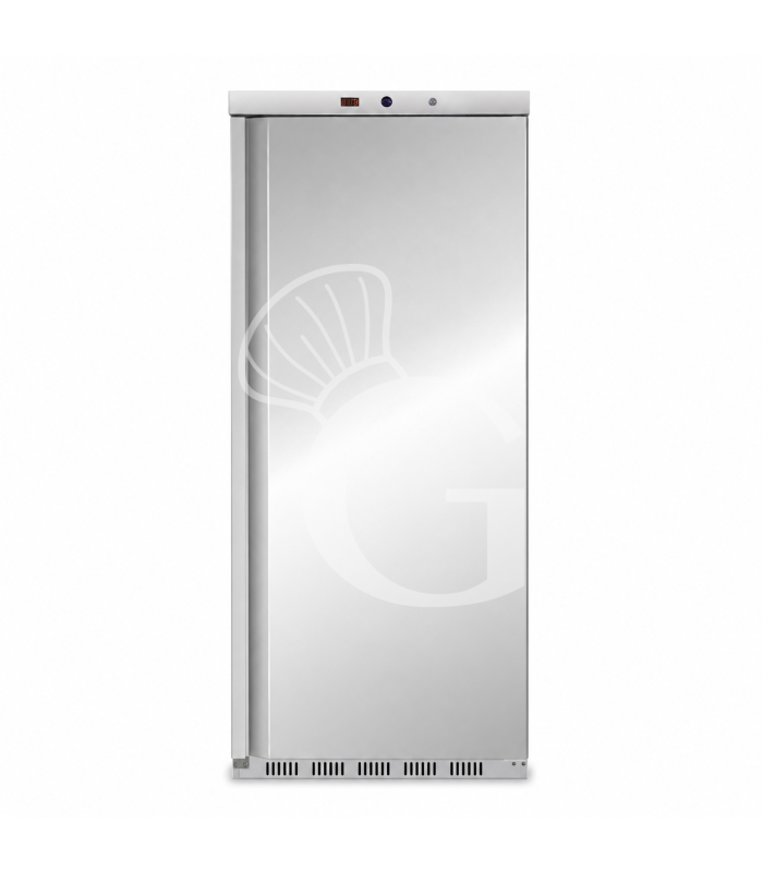 Armadio Refrigerato Statico in inox -18°C/-22°C 555 LT