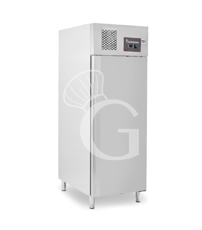 Armadio Refrigerato Ventilato -2°C/+8°C 650 LT classe energetica D