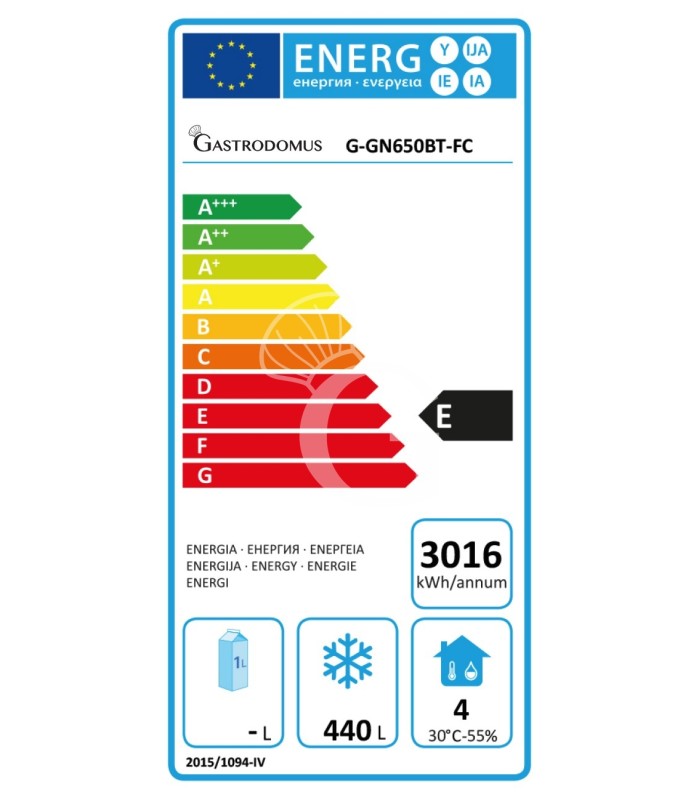 Armadio Refrigerato Ventilato -18°C/-22°C 650 LT classe energetica E