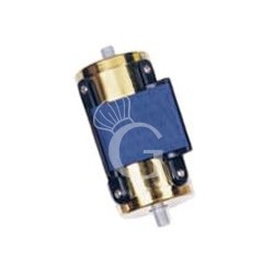 Puntale dorato con nastro blu