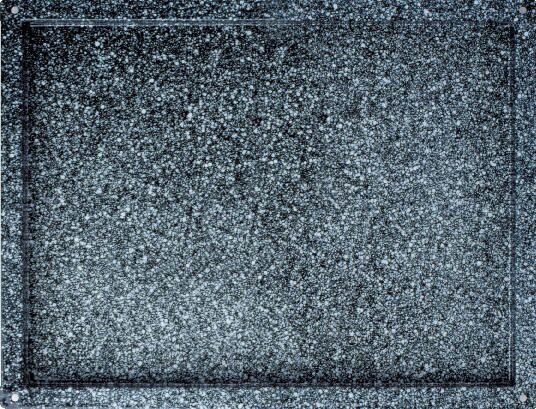 Teglia Rettangolare in acciaio inox smaltato L 600 mm x P 400 mm x H 20 mm