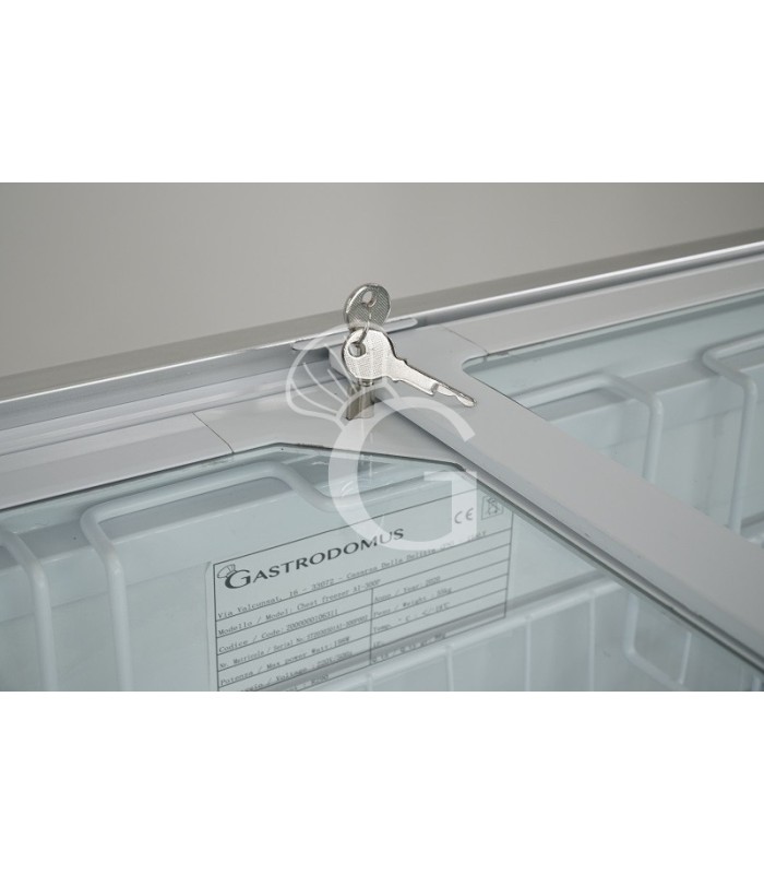 Congelatore a pozzetto Statico 273 LT - temperatura -18°/-25°C - porta vetro classe energetica C