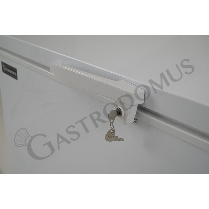 Congelatore a pozzetto Statico 280 LT -18°C classe energetica F