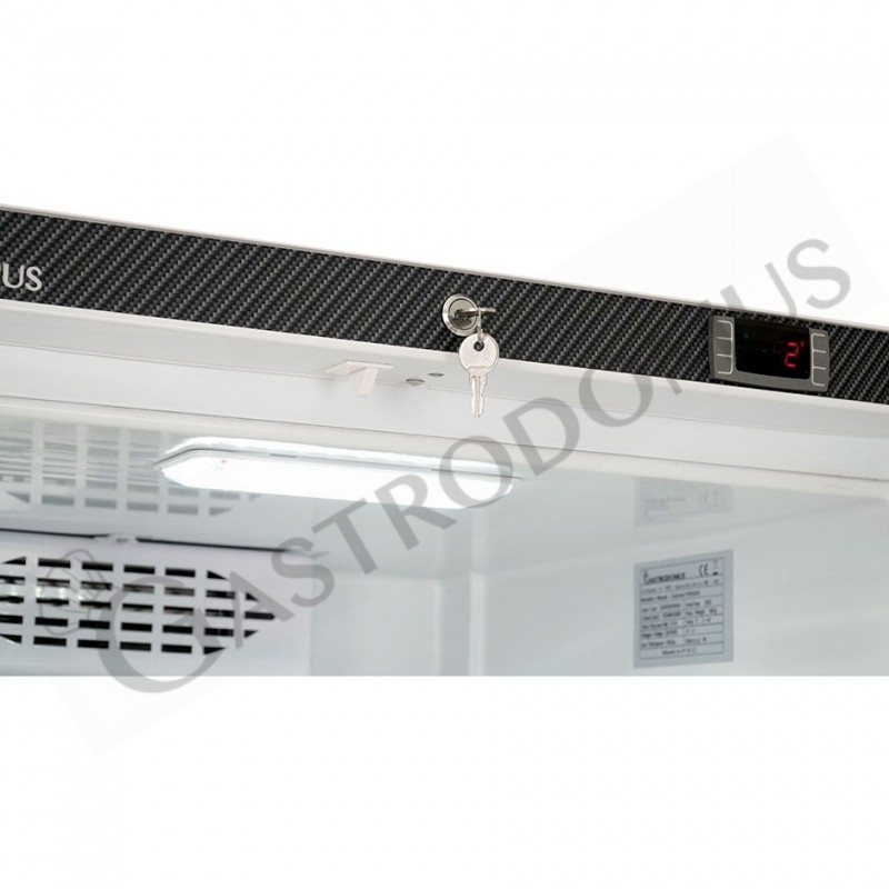 Armadio refrigerato statico in lamiera verniciata, temperatura -2°C/+8°C e capacità 530 LT, chiusura con chiave