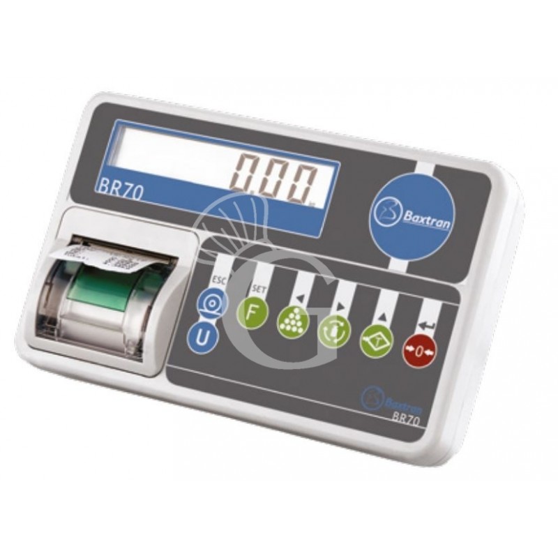 Piattaforma monocella 400 x 400 mm completa di indicatore con stampante e colonna H 600 mm