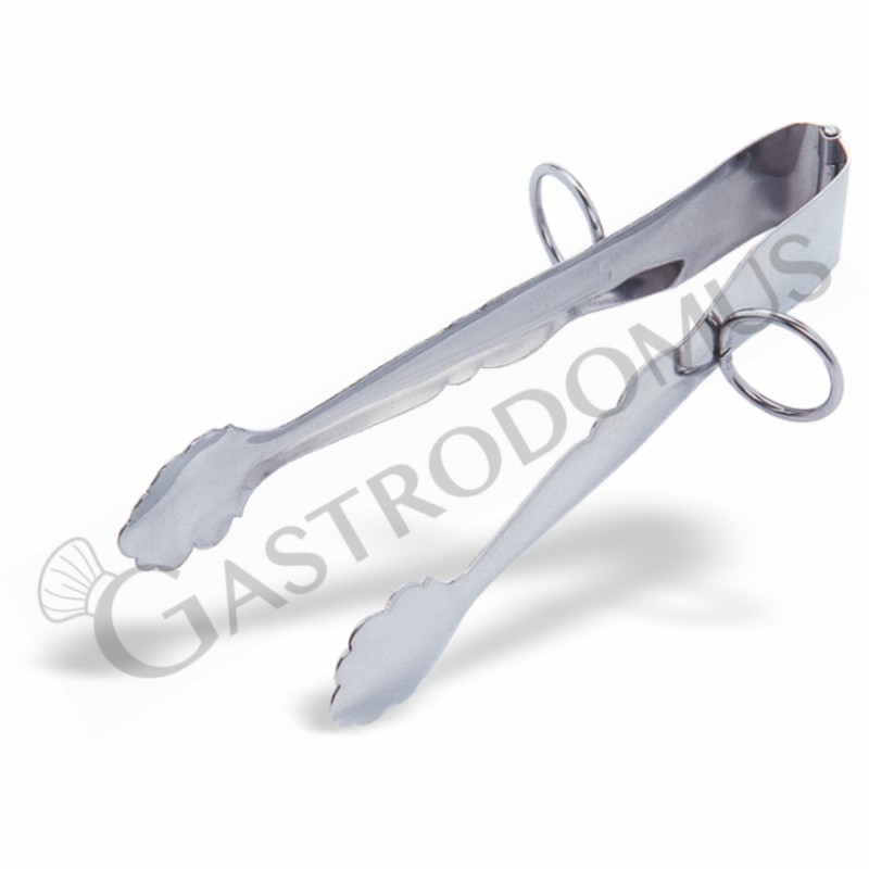 Pinza con anelli in acciaio inox L 170 mm Pinza con anelli in acciaio inox L 170 mm