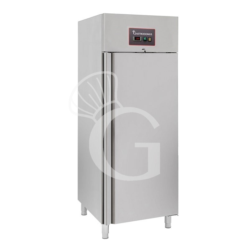 Armadio Congelatore Ventilato -18°C/-22°C 534 LT classe energetica E