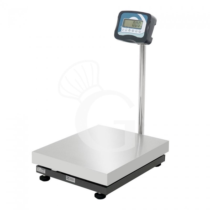 Bilancia monocella completa portata 60 Kg precisione 10 g L 500 mm x P 400 mm x H 840 mm