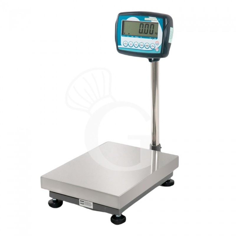 Bilancia monocella completa con portata 600 Kg e precisione 50 g - L 600 x P 800 x H 900 mm