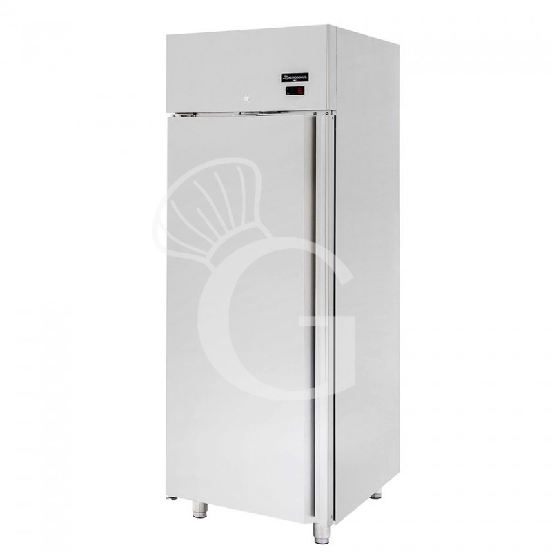 Armadio Refrigerato Ventilato per carne -2°C/+10°C 700 LT classe energetica G