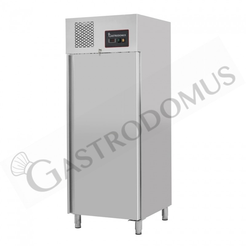 Armadio Refrigerato Ventilato -18°C/-22°C 650 LT classe energetica E