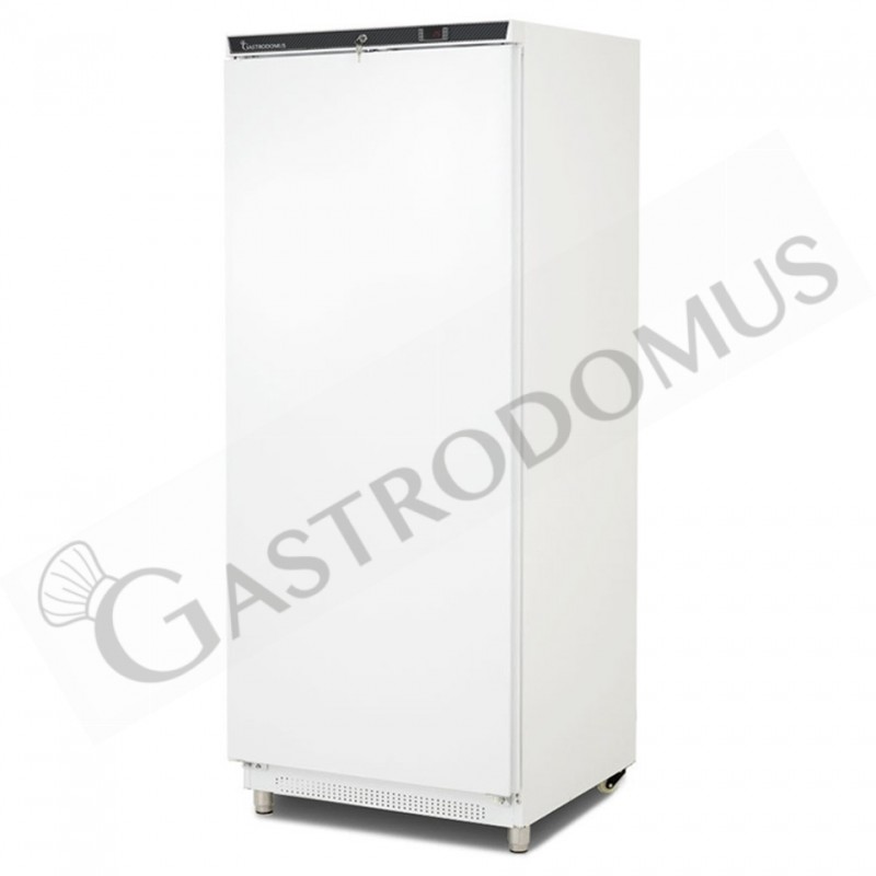 Armadio Refrigerato Statico -18°C/-22°C 530 LT classe energetica B