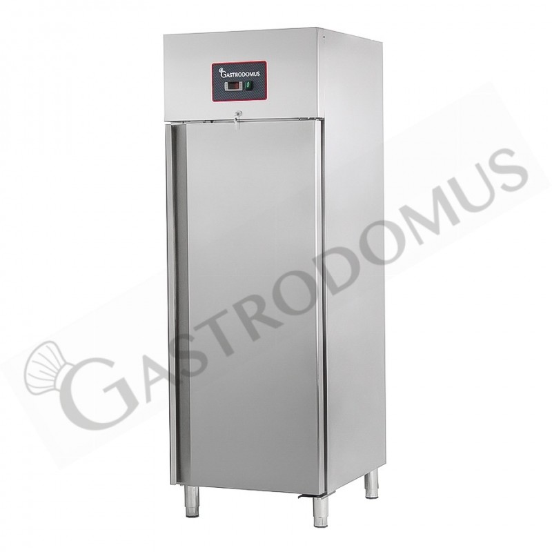 Armadio Refrigerato Ventilato Pesce 0°C/+5°C 600 LT classe energetica C