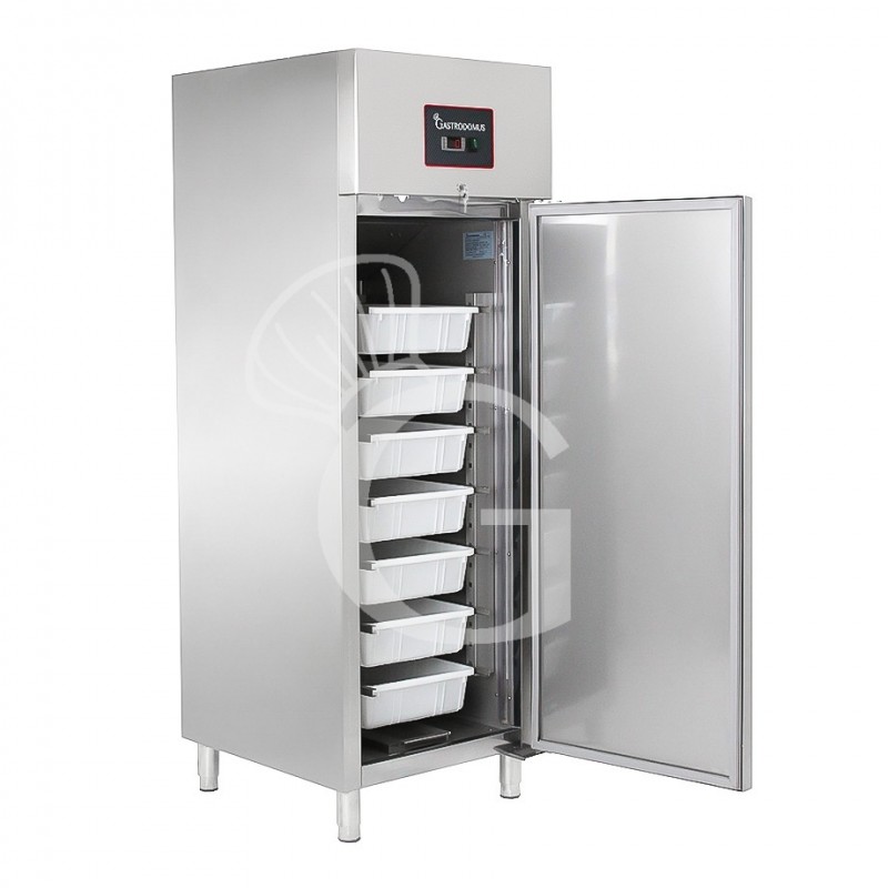 Armadio Refrigerato Statico Pesce 0°C/+5°C 600 LT classe energetica C
