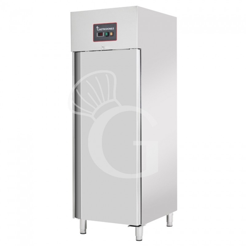 Armadio Congelatore Ventilato -18°C/-22°C 534 LT classe energetica E