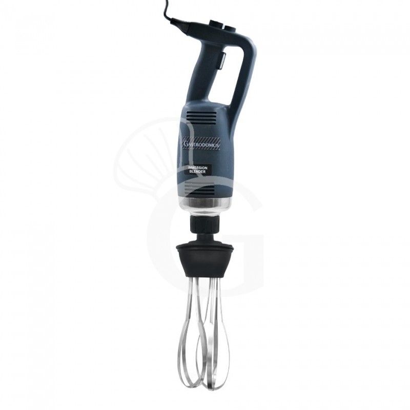 Mixer ad immersione con frusta velocità variabile 750 W - 8000/20000 RPM