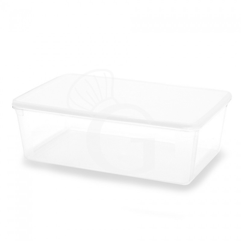 Contenitore ermetico completo di coperchio capacità 9.5 L dimensioni L 390 x P 260 x H 120 mm