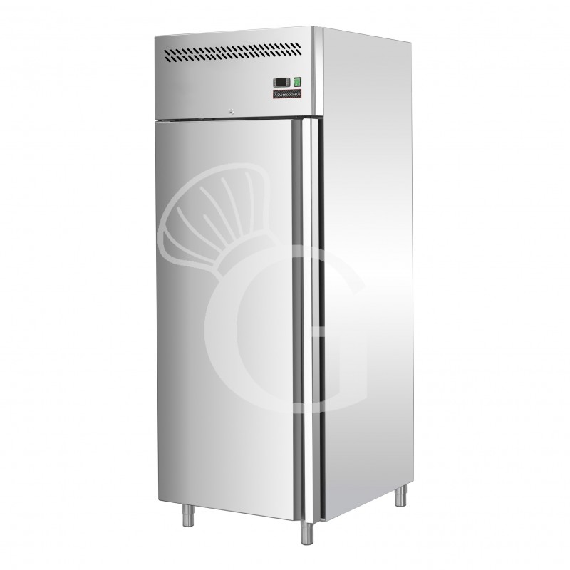 Armadio Refrigerato Ventilato -2°C/+8°C 650 LT classe energetica D