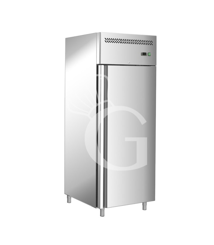 Armadio Refrigerato Ventilato -2°C/+8°C 650 LT classe energetica D