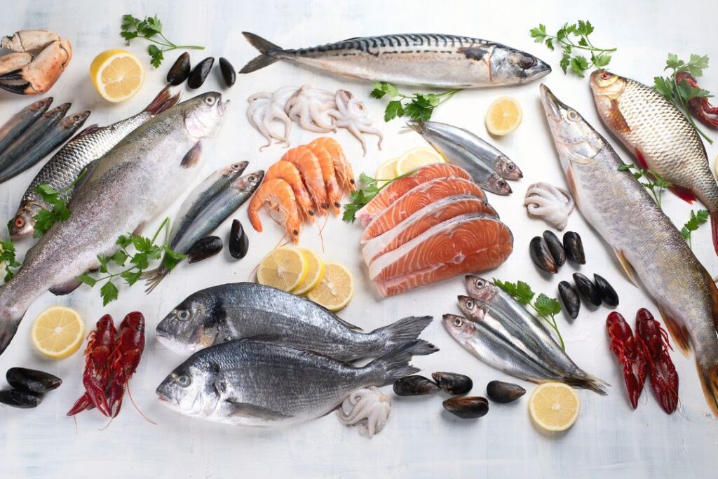 COME APRIRE UNA PESCHERIA: GUIDA COMPLETA ALL’ALLESTIMENTO