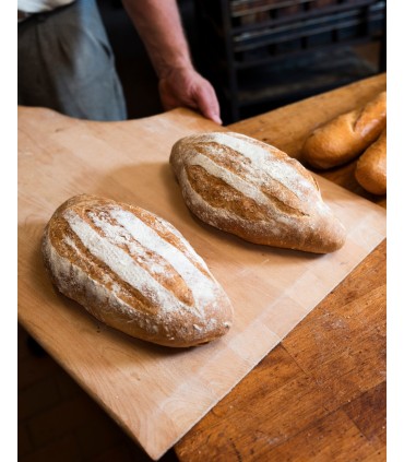 Panetteria