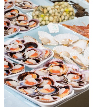 Pescheria
